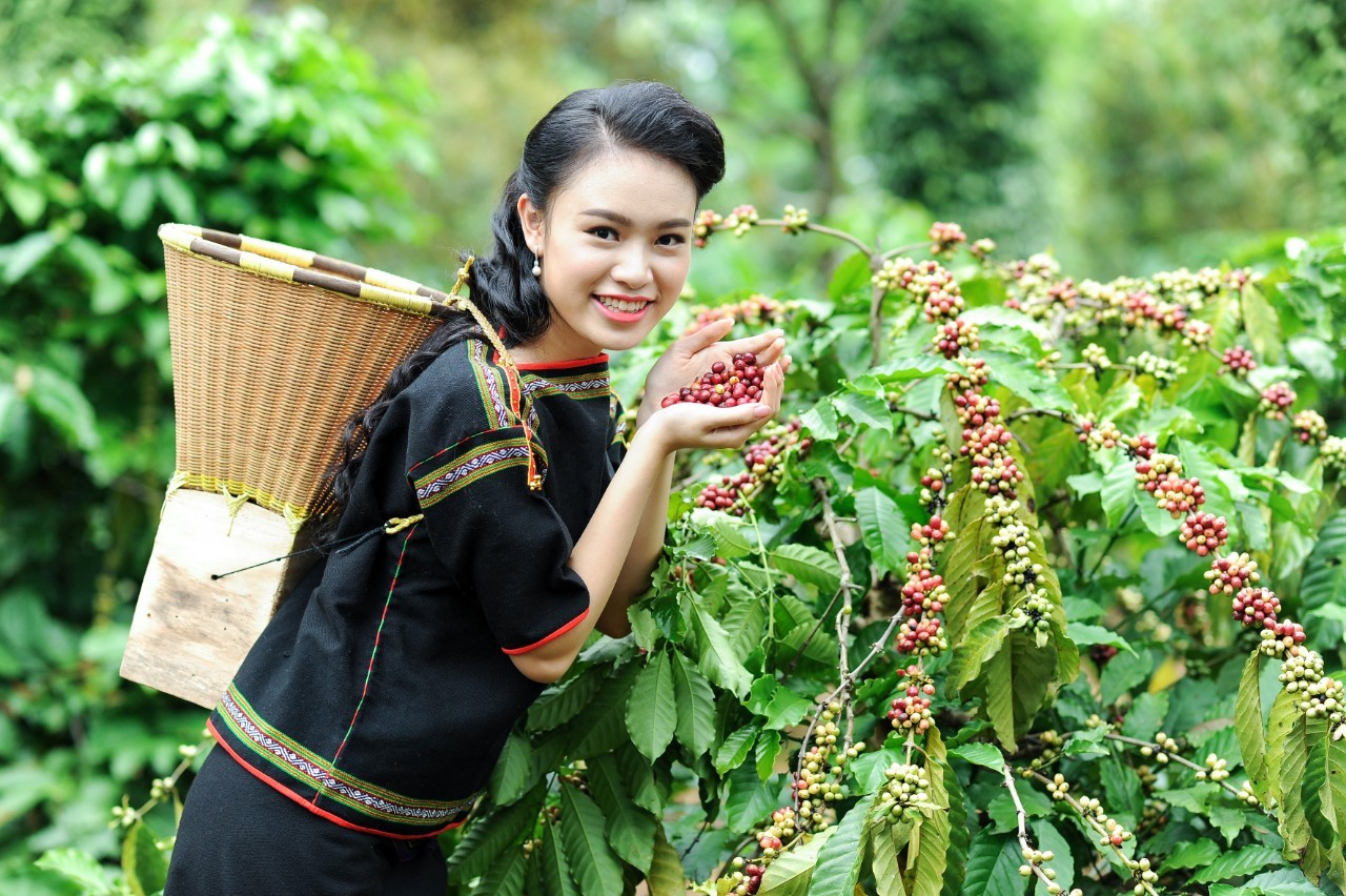 GFC-Phongcanh2